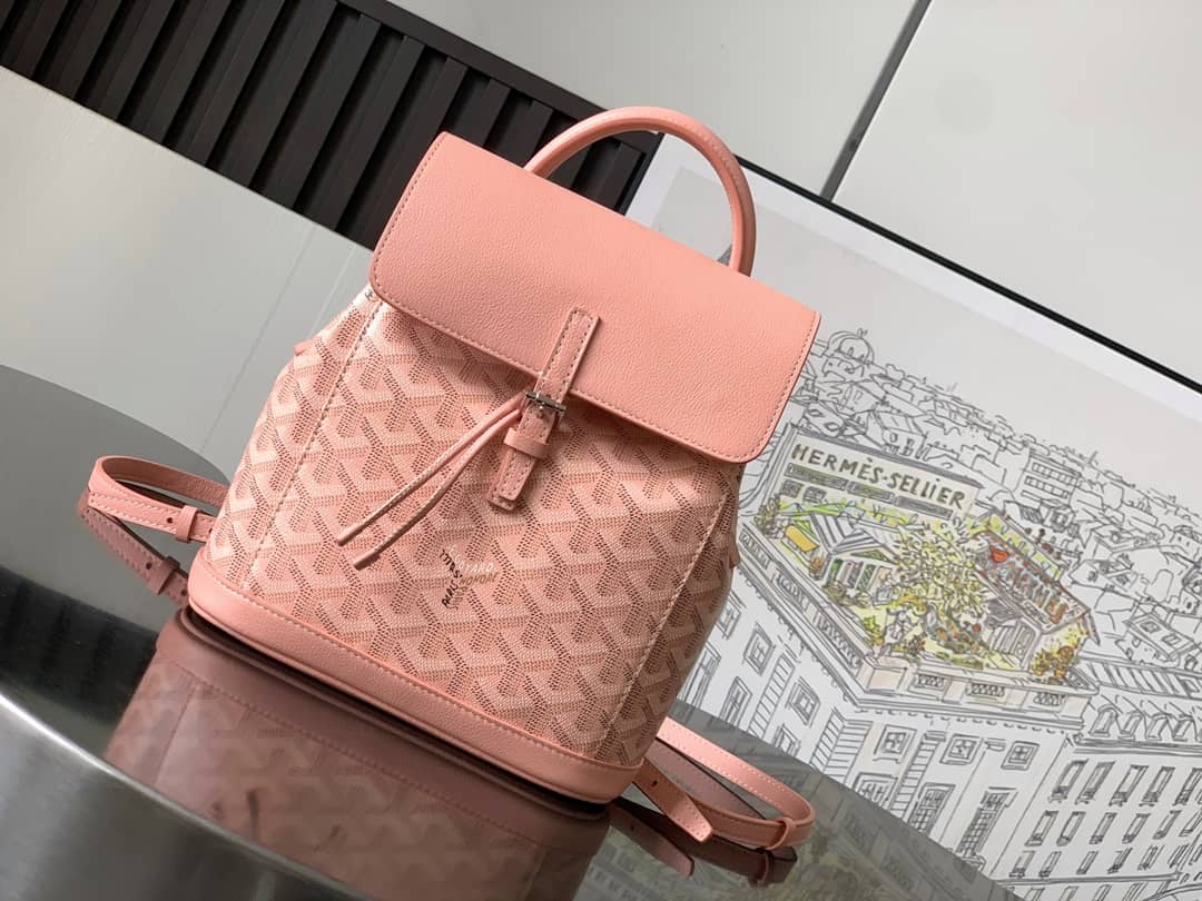 Goyard Alpin MM Backpack Pink