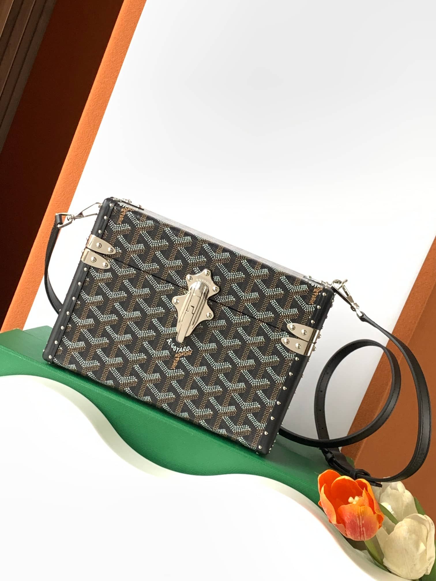 Goyard Cassette Trunk Bag Black