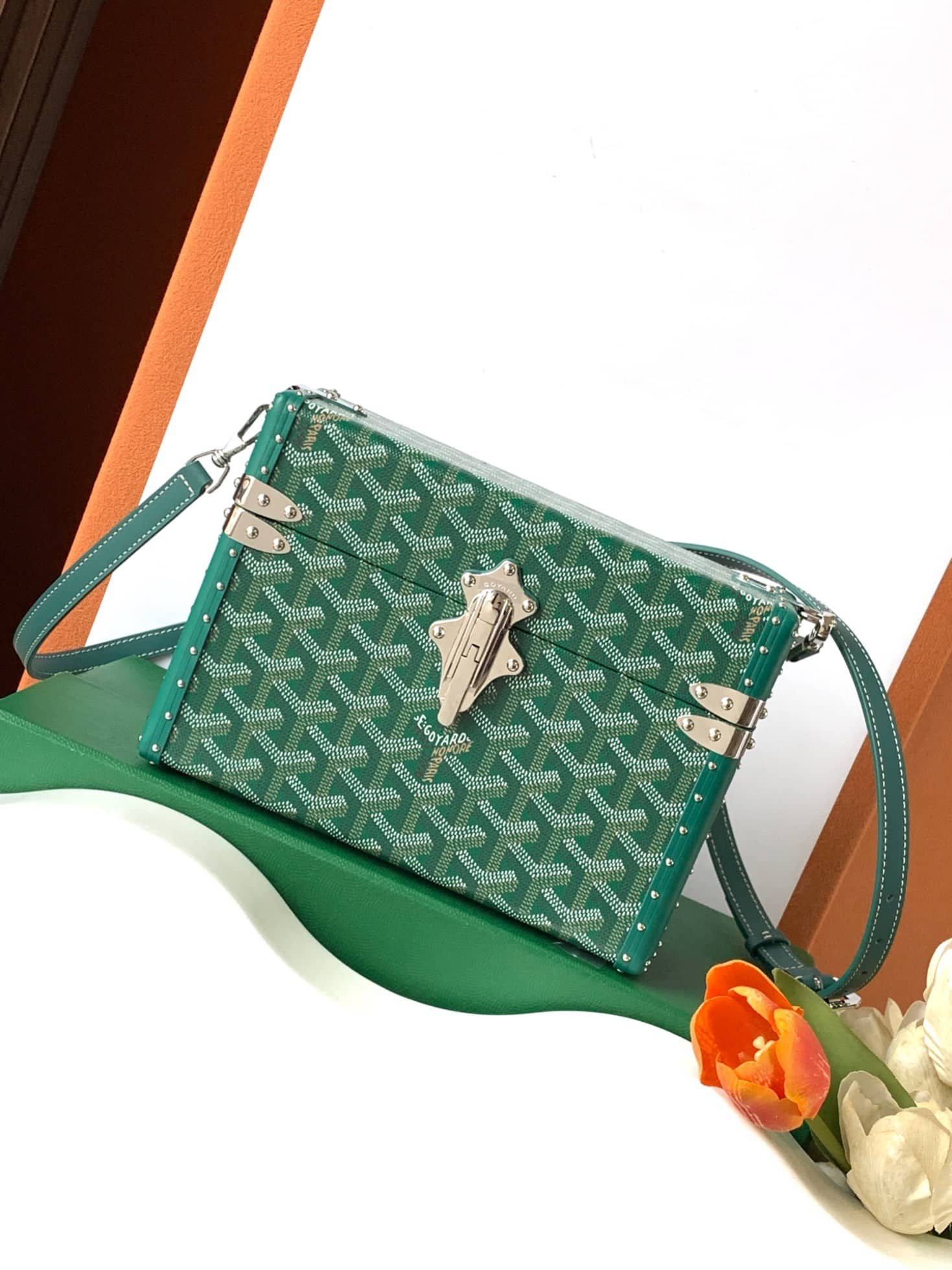 Goyard Cassette Trunk Bag Green