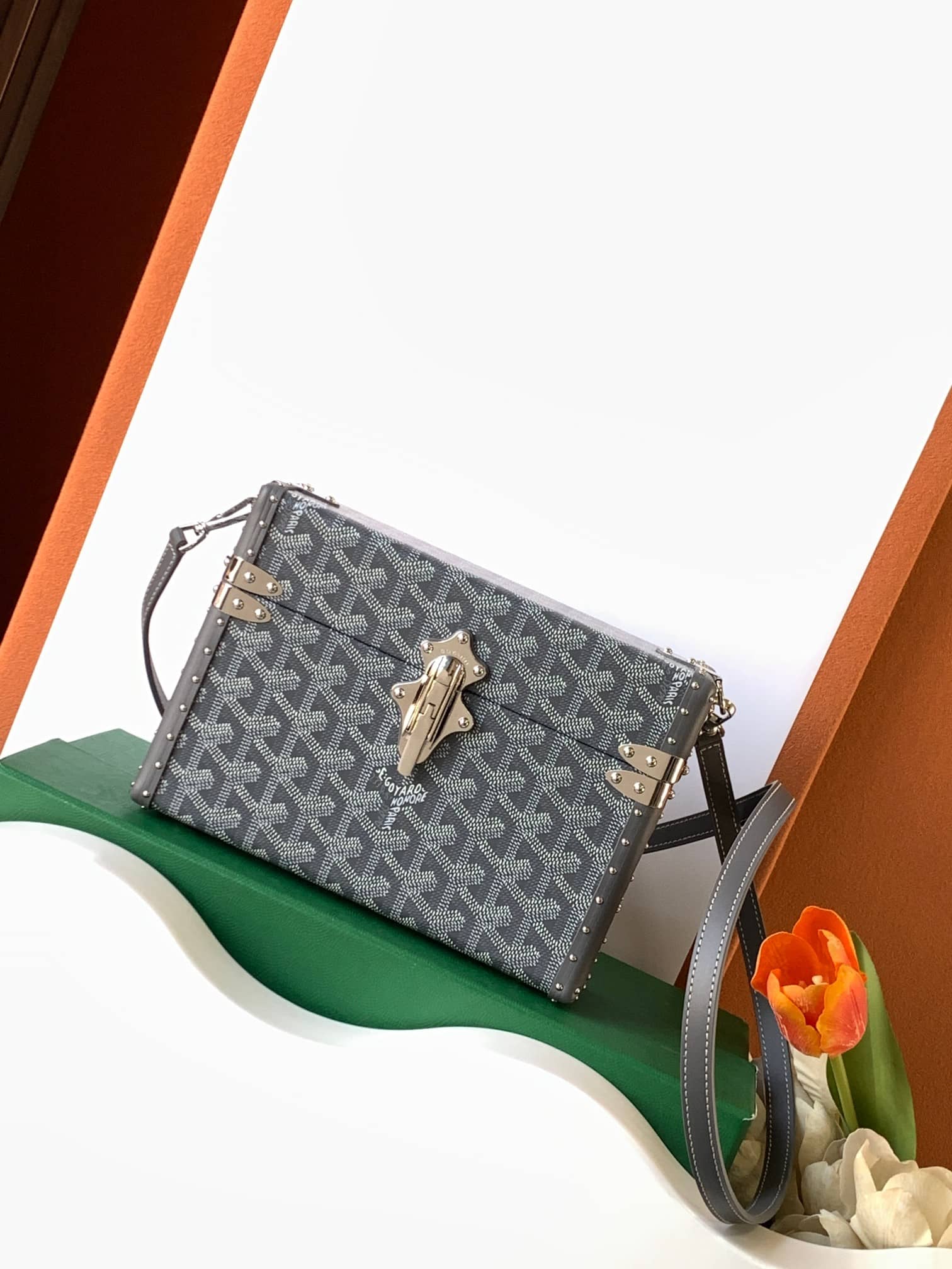 Goyard Cassette Trunk Bag Grey