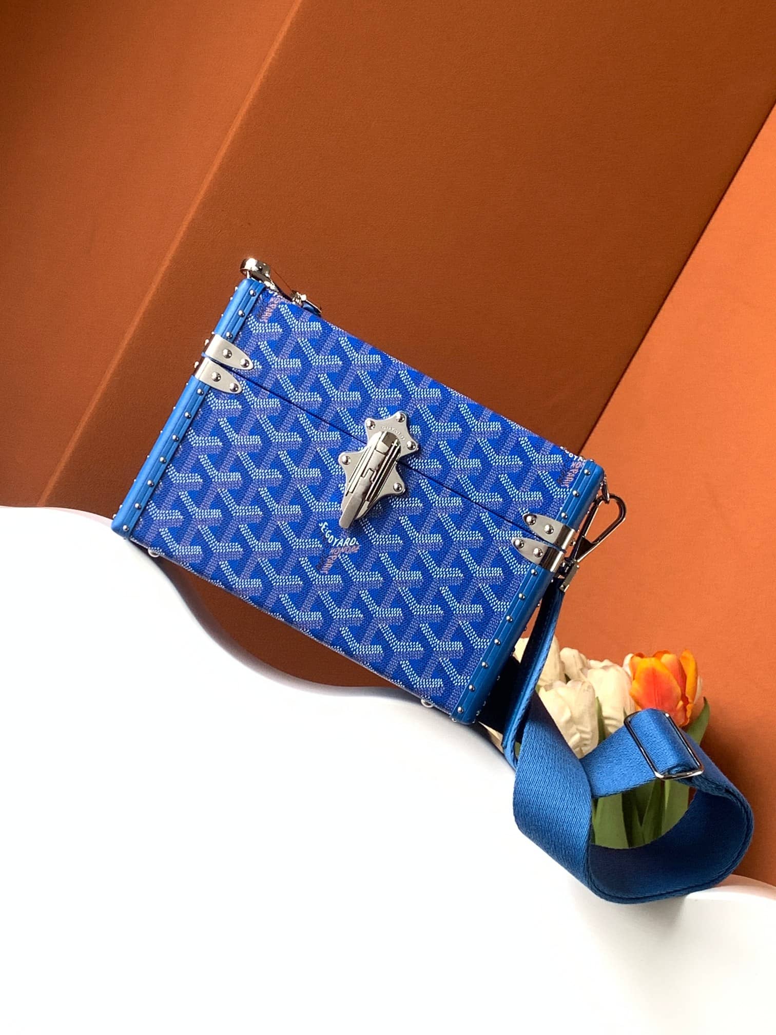 Goyard Cassette Trunk Bag Sky Blue